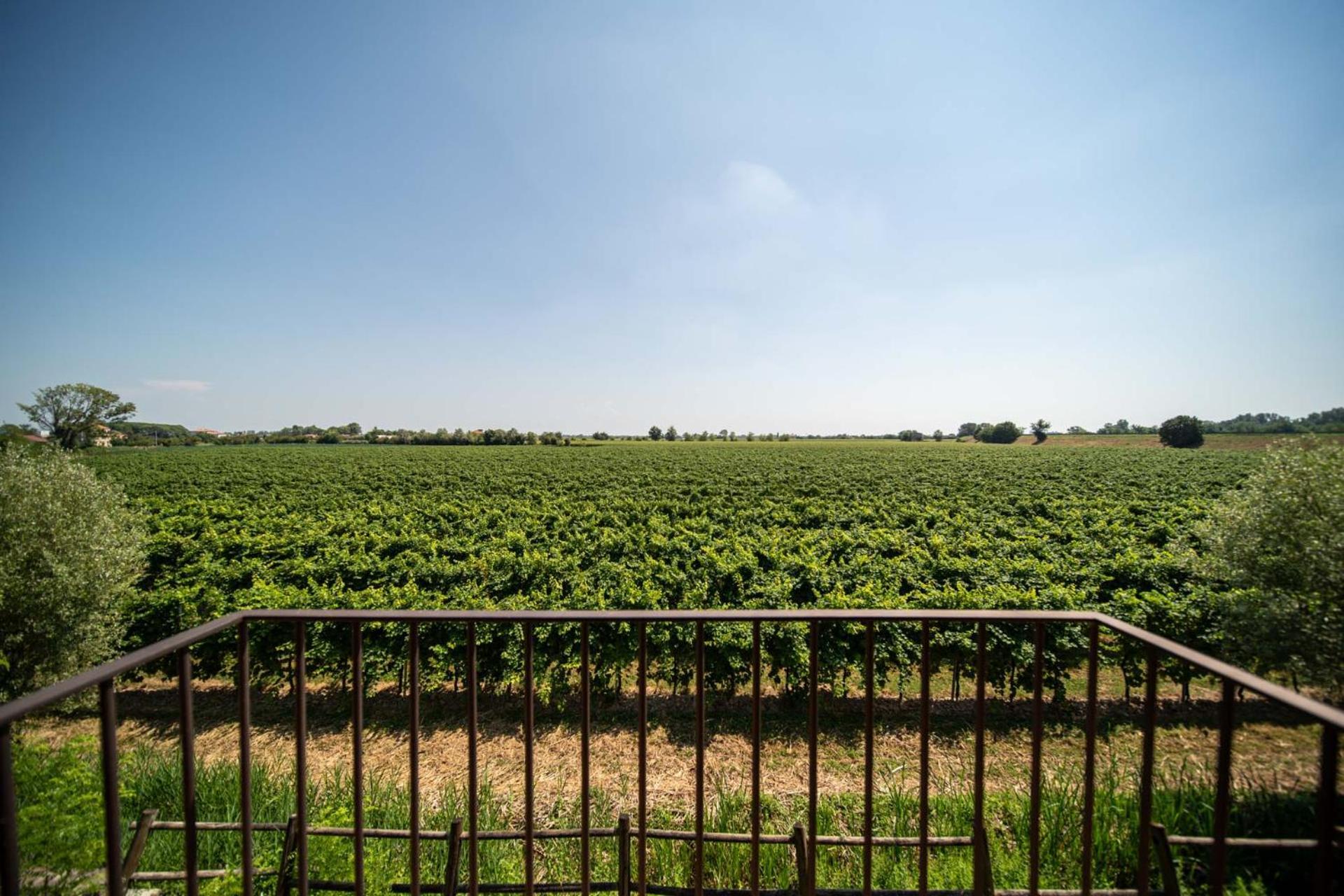 Borgo Ronchetto 호텔 살가레다 외부 사진